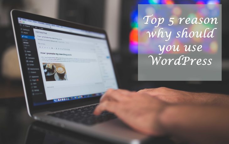 Top 5 reason why should you use WordPress